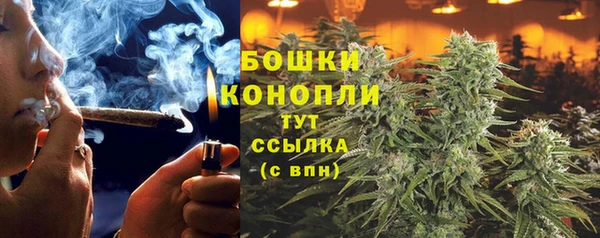 трава Нязепетровск