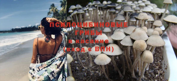 СК Нягань