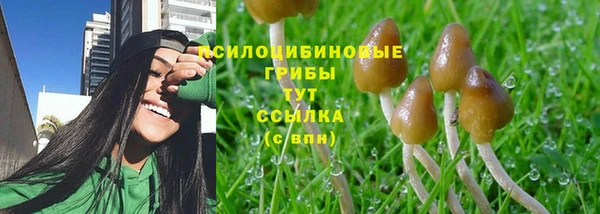 трава Нязепетровск
