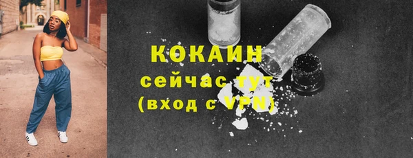 mdpv Няндома