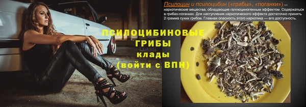 mdpv Няндома